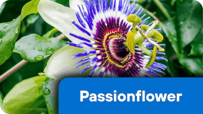 Passionflower ingredient in Nerve Fresh supplement